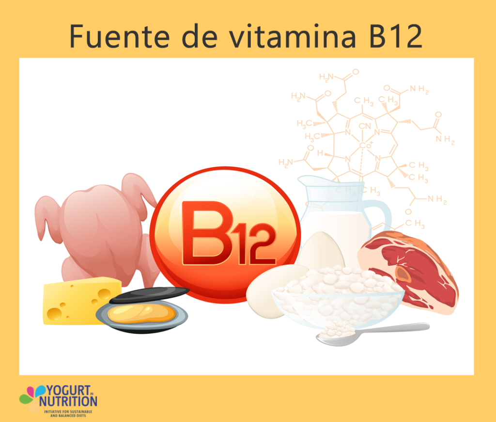 Fuentes de vitamina B12